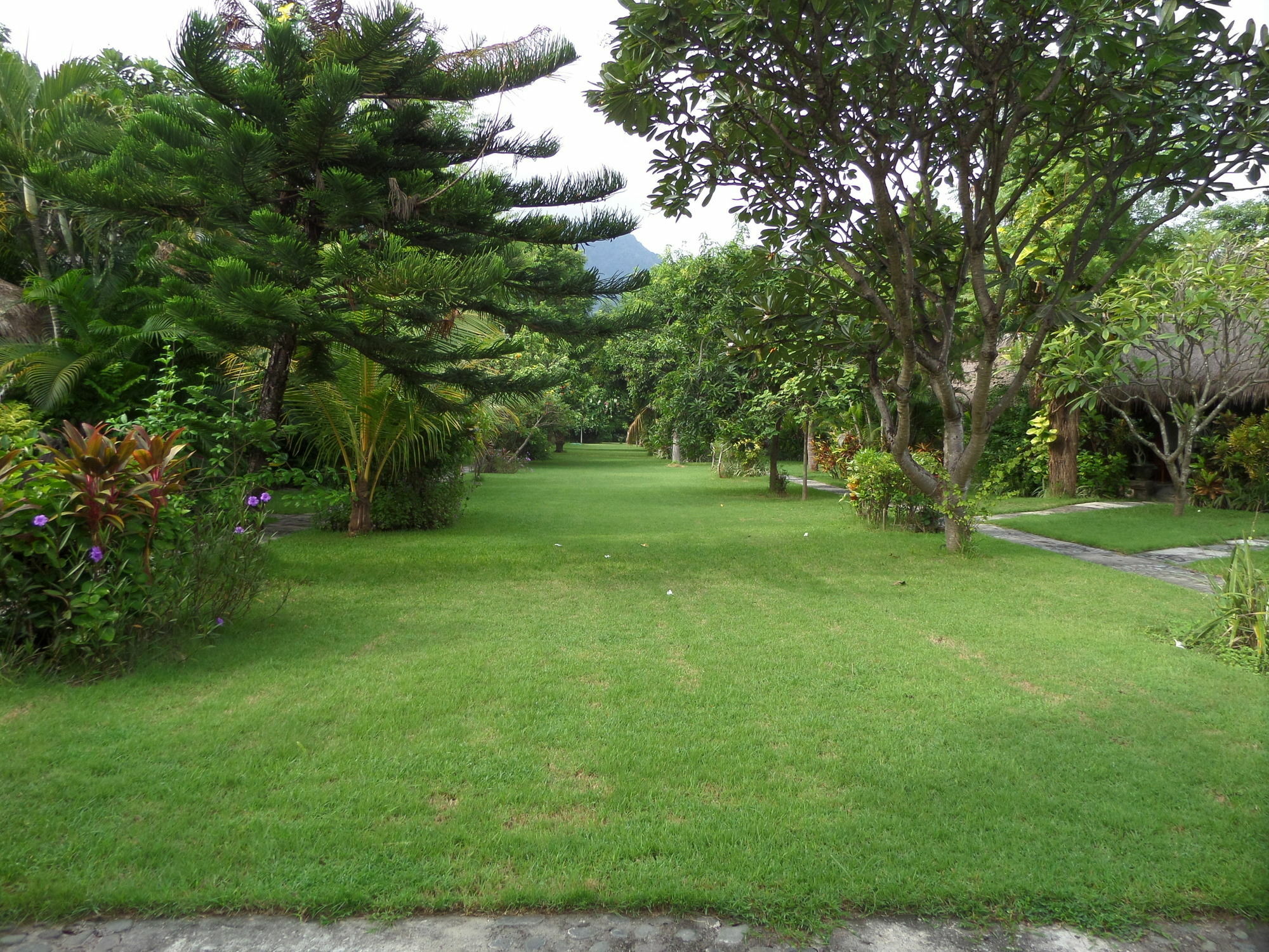 Taman Selini Wahana Beach Resort Pemuteran Extérieur photo