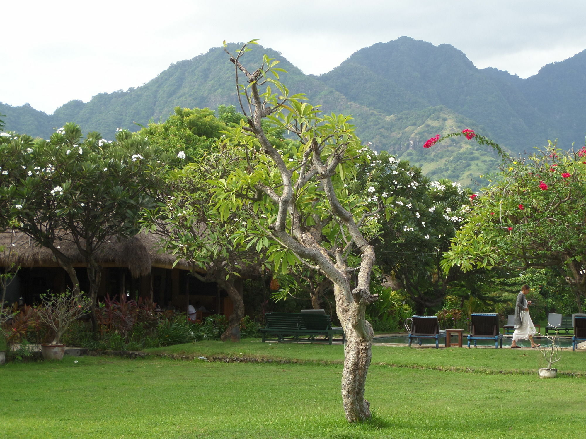 Taman Selini Wahana Beach Resort Pemuteran Extérieur photo